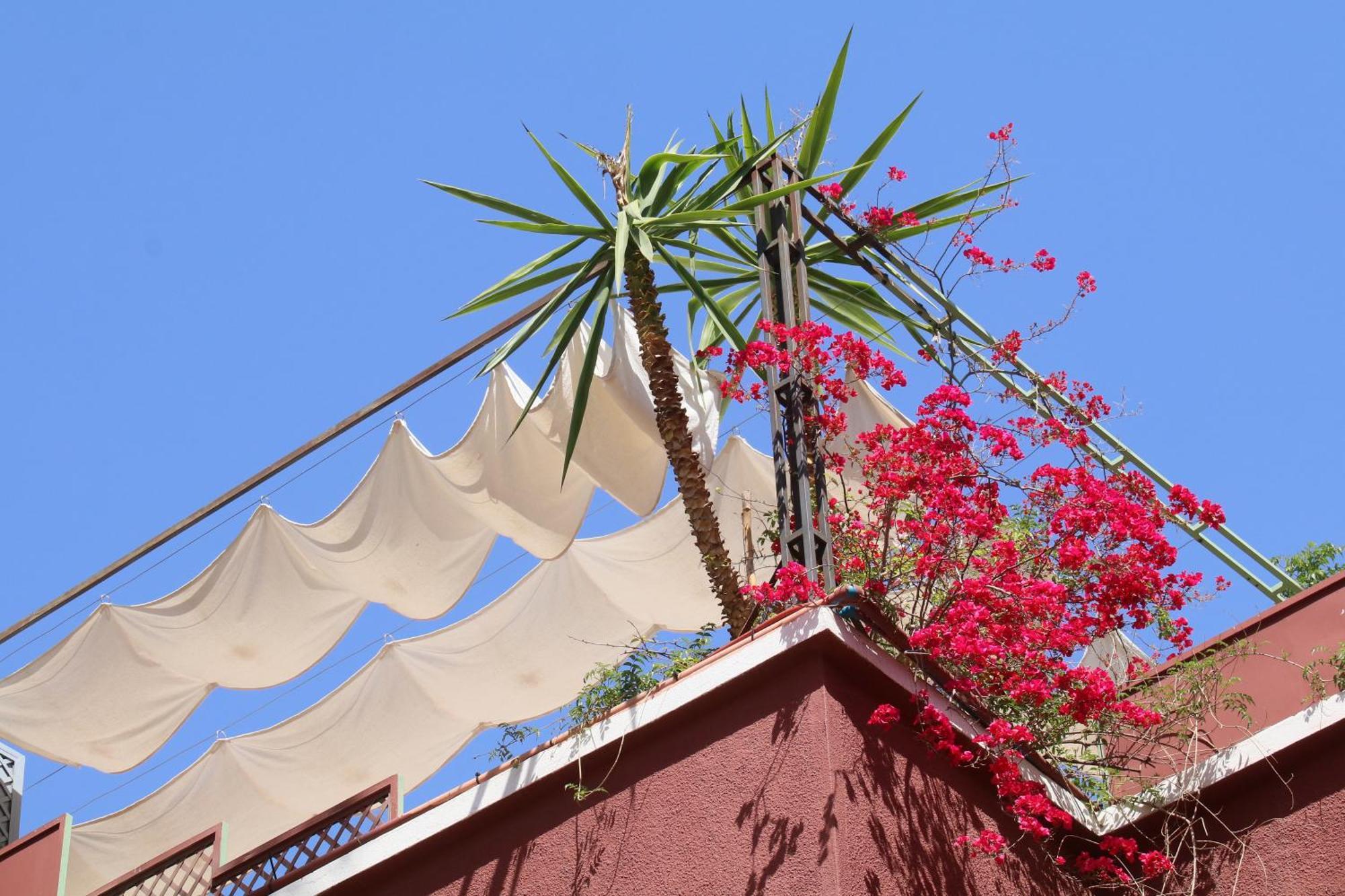 Riad Celia Marrakesh Exteriör bild